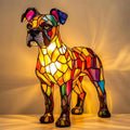 Splendide Boxer