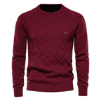 Alexander | Pull Élégant pour Hommes