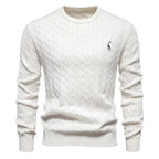 Rogier | Pull Élégant pour Hommes