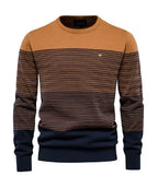 Raymond | Pull Élégant pour Hommes
